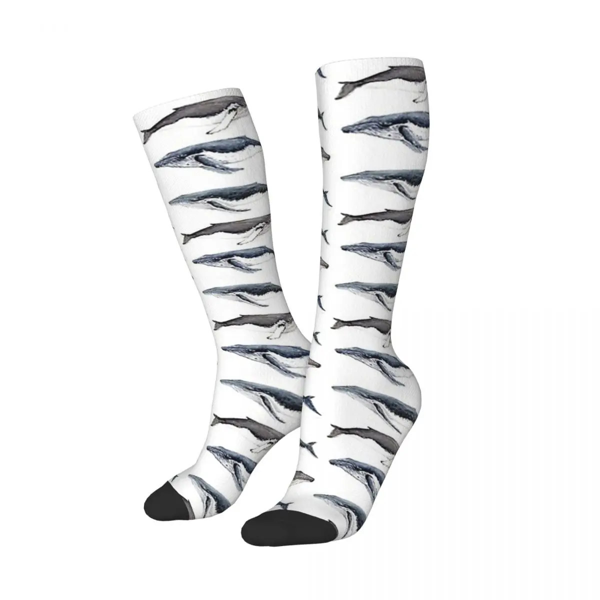 

Humpback Whales (Megaptera Novaeangliae) Socks Harajuku Super Soft Stockings All Season Long Socks Accessories for Unisex Gifts