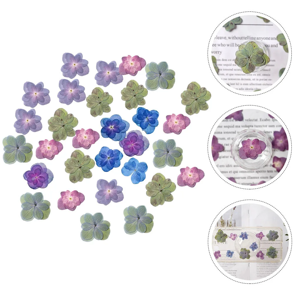 

30pcs Double Peony Dried Flowers Pressed Multicolor Diy Craft Material For Resin Scrapbooking Bookmark Glass Art Epoxy