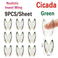 1 unidad Cicida-G