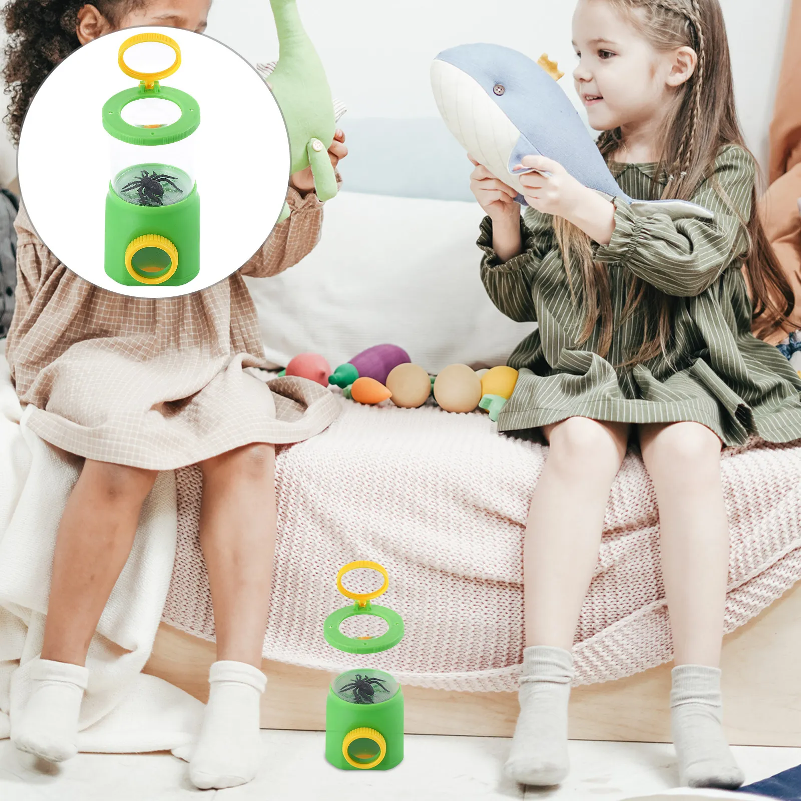 Insect Observation …