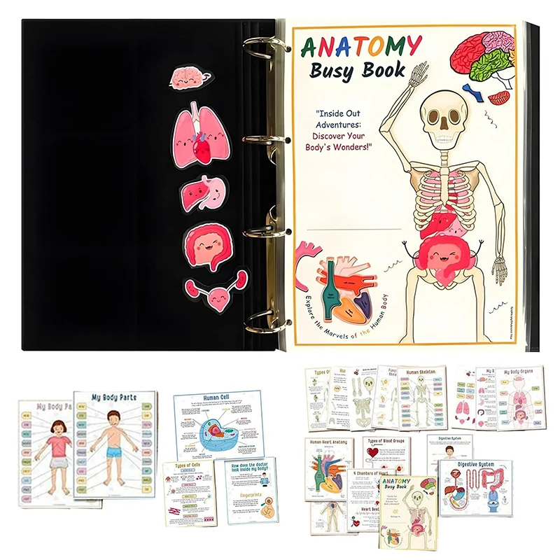 Human Anatomy Busy Book Human Organ Match Preschool Interactive Anatomy Busy Book For Kids Montessori Toys Learn Cognition