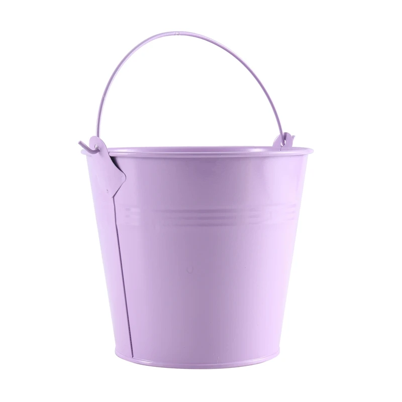 12 Pieces Small Bucket Cute Mini Fleshy Pot With Handle Metal Craft Composite Section Gift