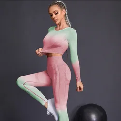 Seamless Yoga Sets Sports Fitnes High Waist Hip Raise Pants Long-Sleeved Suits Workout Clothes Gym Shorts Set for Women