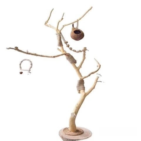 Dry  Log branches Natural dry branches Dead branches Dead wood trunk Bird rack shape Wall hanging hanger Ceiling