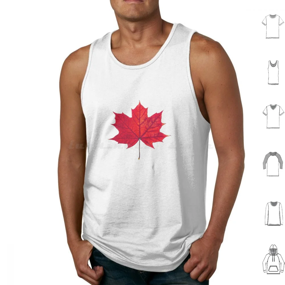 Maple Leaf Tank Tops Print Cotton Maple Leaf Symbol Canada Flag Leaves Red Real Leaf Only Maple Only Pattern Clean