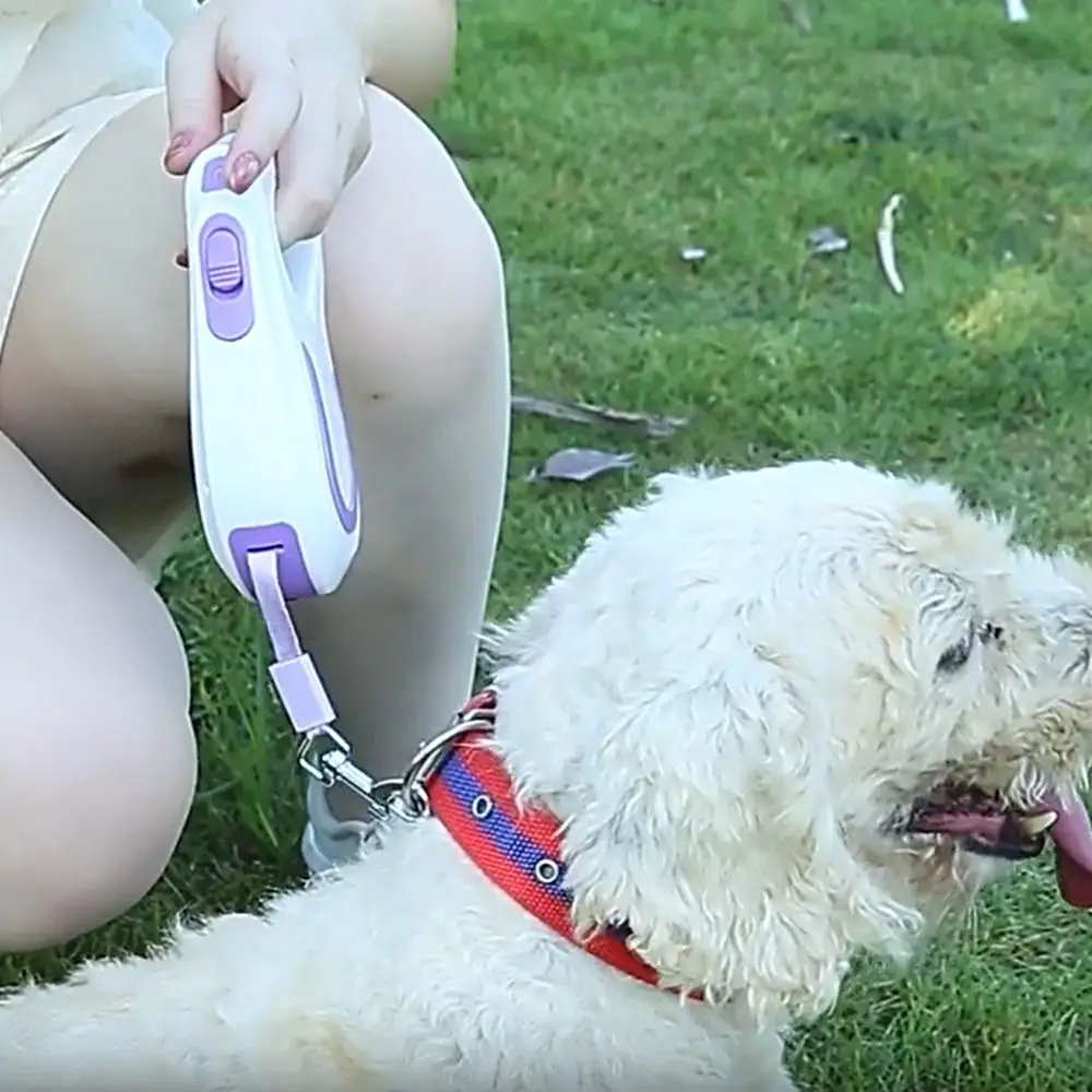 

3m Extendable Automatic Dog Leash Adjustable Safety Lock Retractable Dog Leash Telescopic Plastic Dog Running Lead