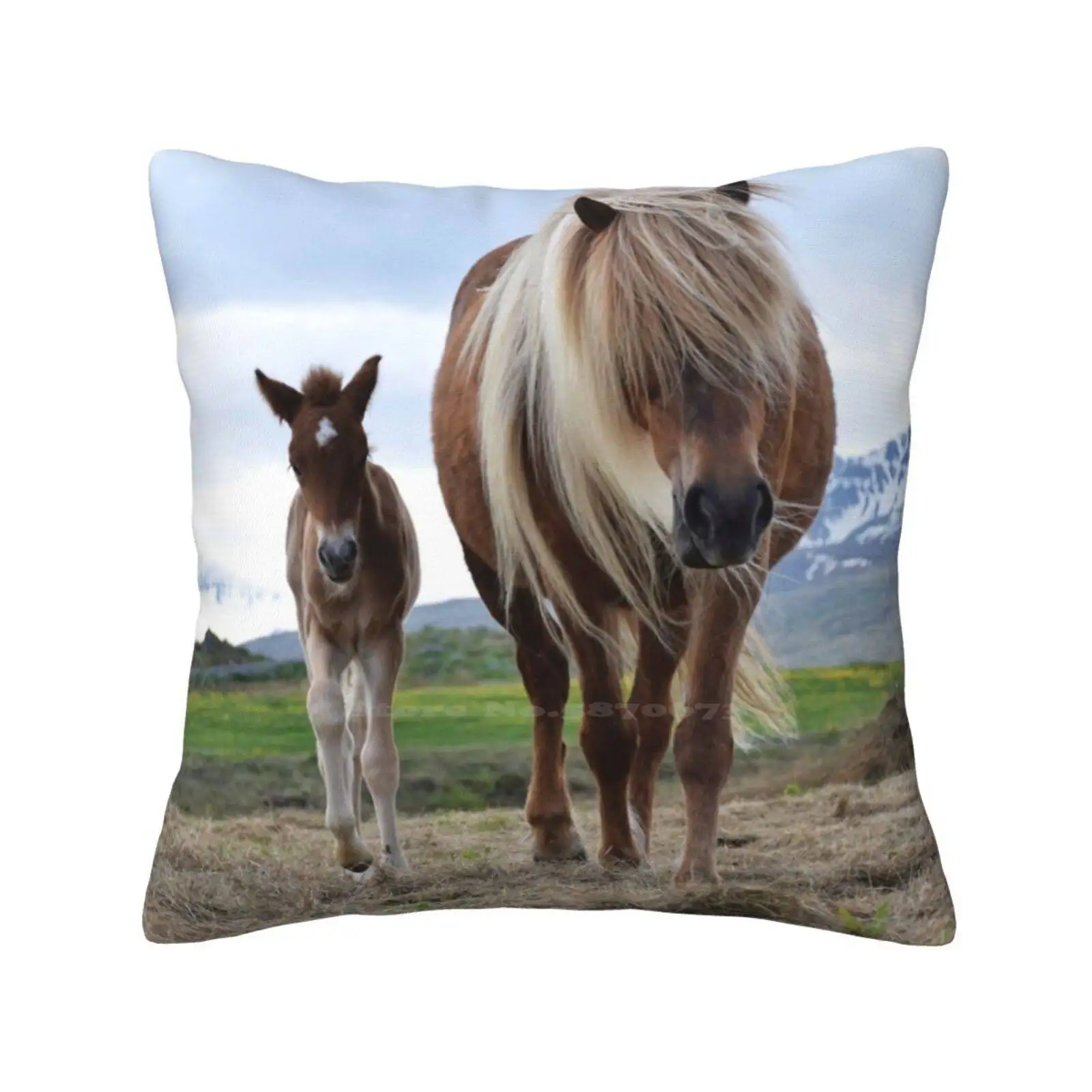 One Day Old Icelandic Horse Foal Pillowslip Pillowcase Icelandic Horse Foal Baby Mother And Son Young Spring Newborn Mountain