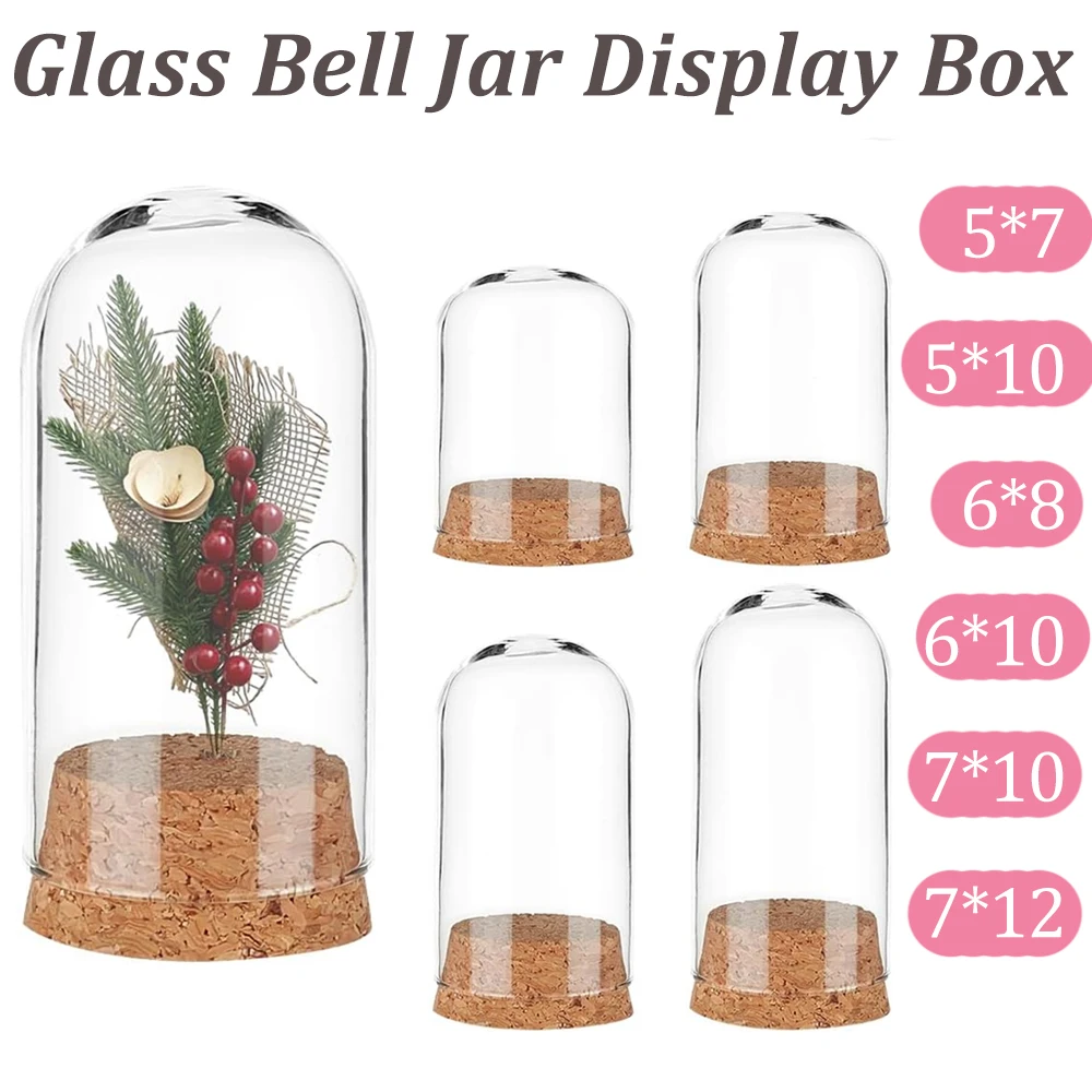 Glass Bell Jar Display Box Dome With Cork Base For Showcasing Mini Flowers Shells Party Favors Ideal Home Decor Storage