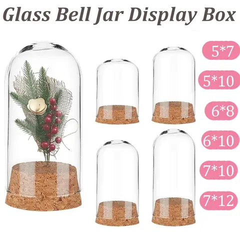 Glass Bell Jar Display Box Dome With Cork Base For Showcasing Mini Flowers Shells Party Favors Ideal Home Decor Storage