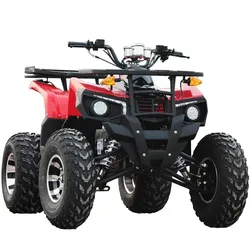 200cc Auto ATV Utvs,2WD/Chain Drive Off Road Cuatrimoto,Four Wheel Motorcycle 10inch,Farm Motor Quad Moto Bike for adult