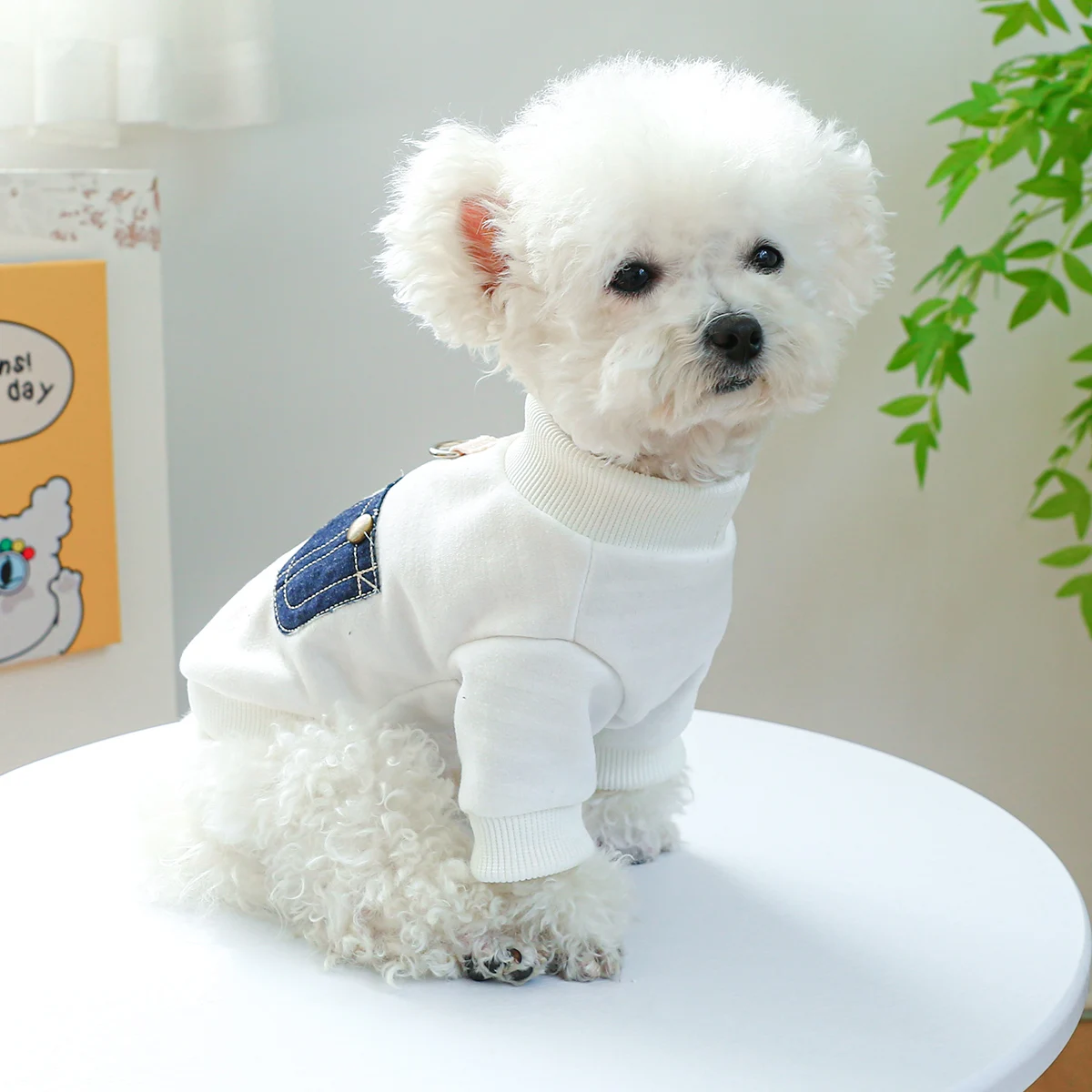 1PC Pet Clothing Dog Cat Spring Autumn Thin Fleece White Friendly Round Neck Shirt With Drawstring Buckle For Small Medium Dogs