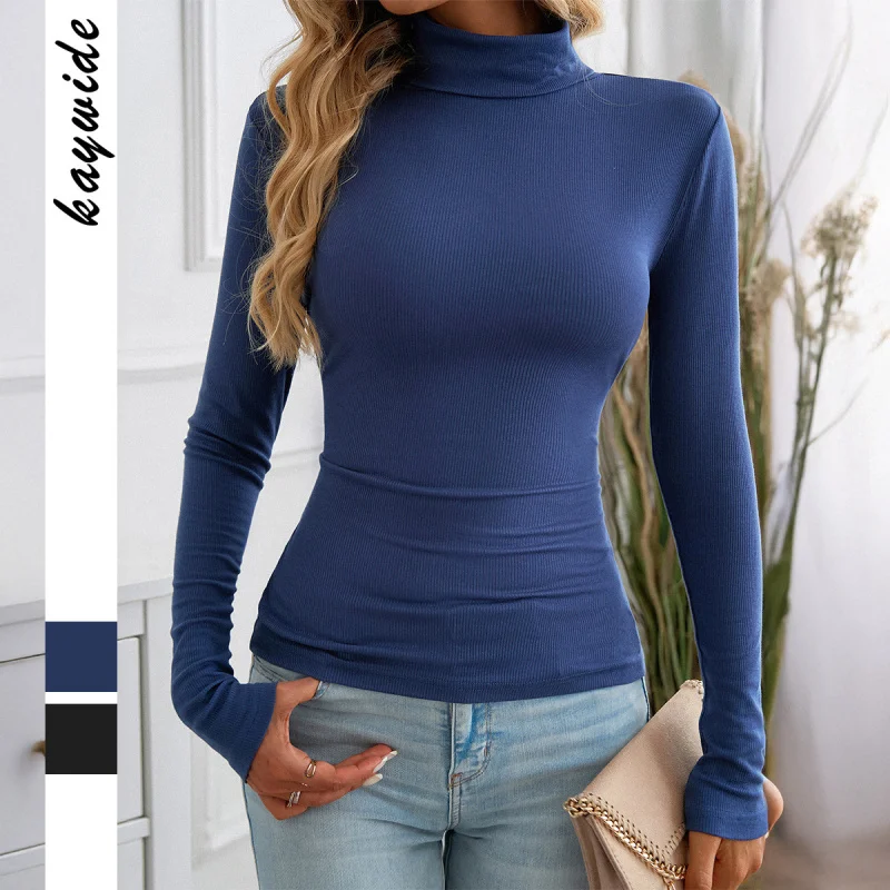 

Casual Minimalist Style High Neck Sweater With Inner Lining, Popular Women'S Top