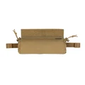 Coyote Brown