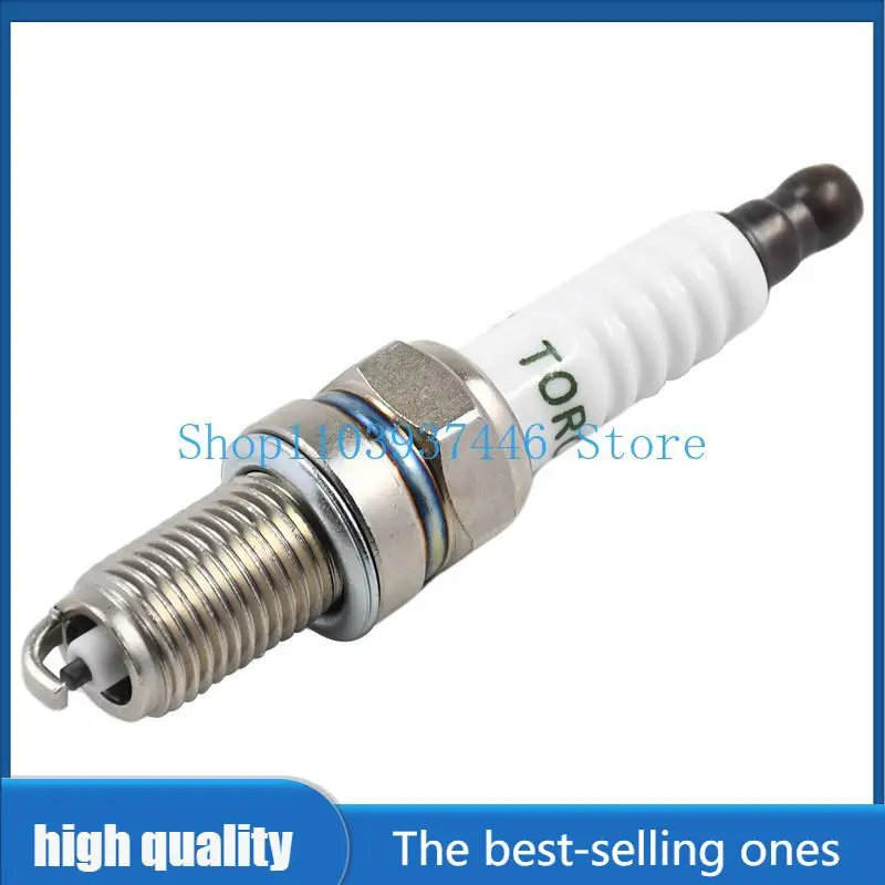 Spark Plug 131-087 Compatible with Champion RA8HC Compatible with NGK DR8ES Compatible with Torch DK7RTC