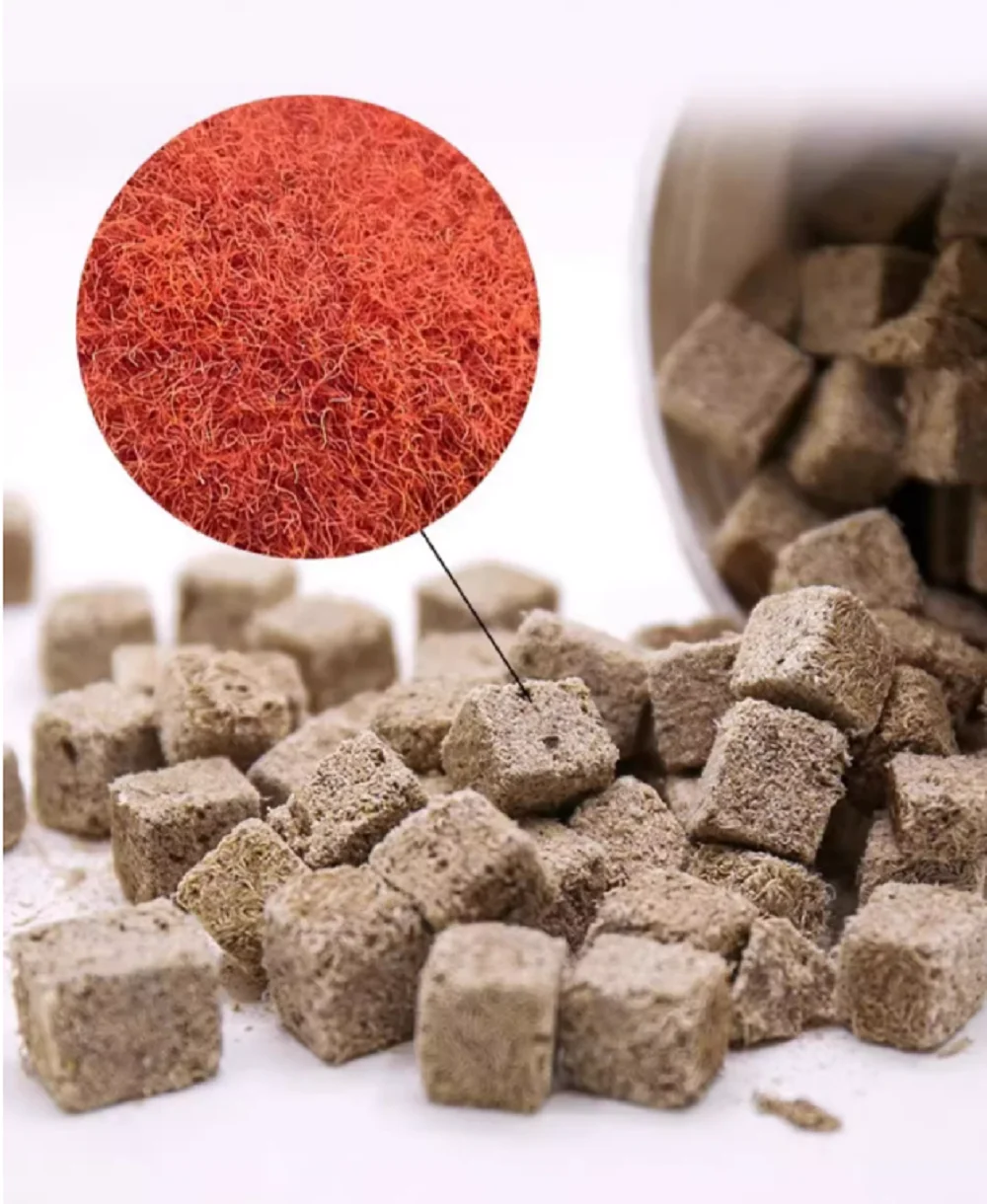 Cubes de vers de sang lyophili - Tetra Fish In Aquarium avis et prix