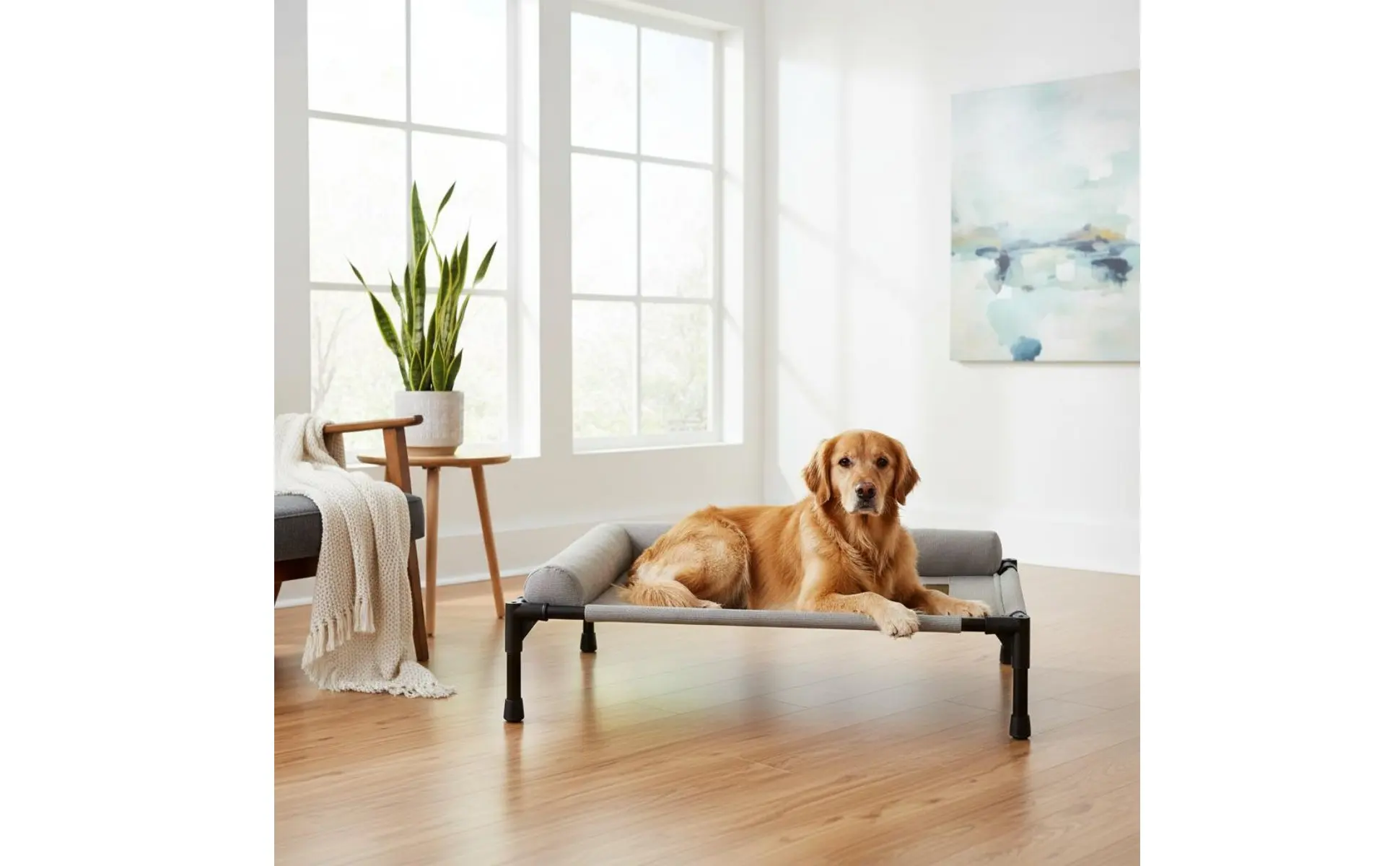 Elevated Pet Bed All-Season Use Raised Dog and Cat Bed Pet Cot Sturdy Frame With Pillow Support for Felines, Travel Elevated Pet Bed All-Season Use Raised Dog and Cat Bed Pet Cot Sturdy Frame With Pillow Support for Felines, Travel