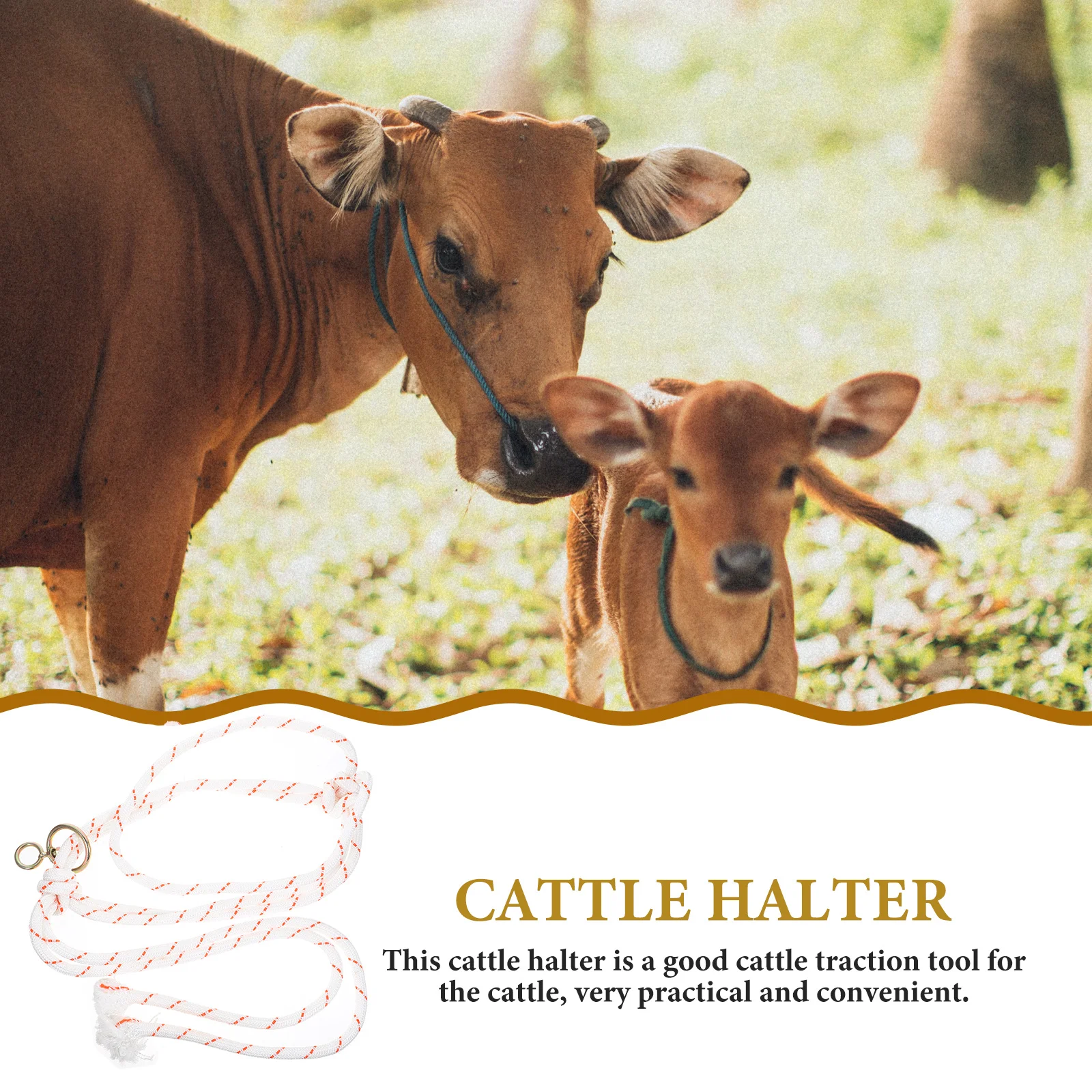 

Portable Lightweight Cattle Halter Rope Halter Professional Durable Cattle Head Bridle Traction Supplies Outdoor