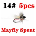 mayfly spent