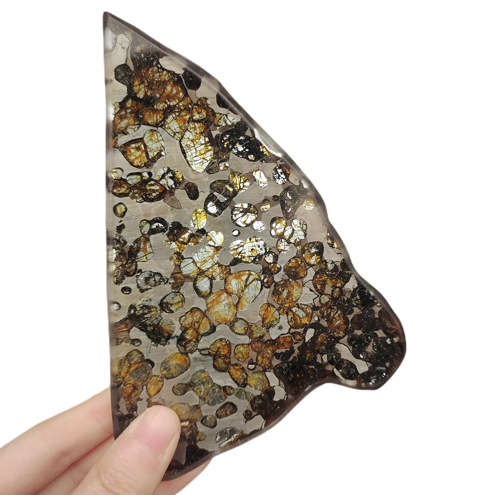 High quality Brenham olive meteorite slices natural meteorite material collection olive meteorite specimens