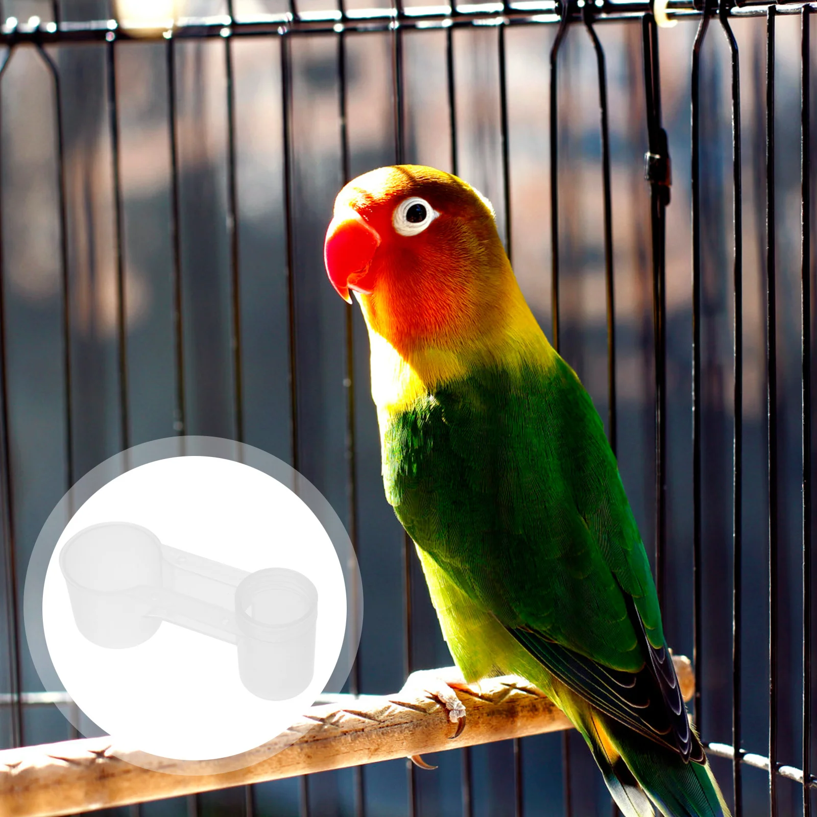 

10pcs Plastic Bird Waterer Automatic Drinker For Parrot Pigeon Pets Easy Clean Fresh Water Supply Birds Dish Pigeon Waterer Pet