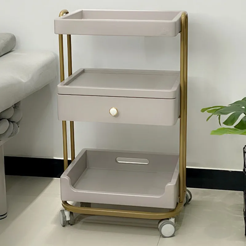 

Metal Manicure Salon Trolley Storage Lash Tattoo Cleaning Salon Trolley Hairdressing Utility Cart Furniture Gereedschap Kar Lstc