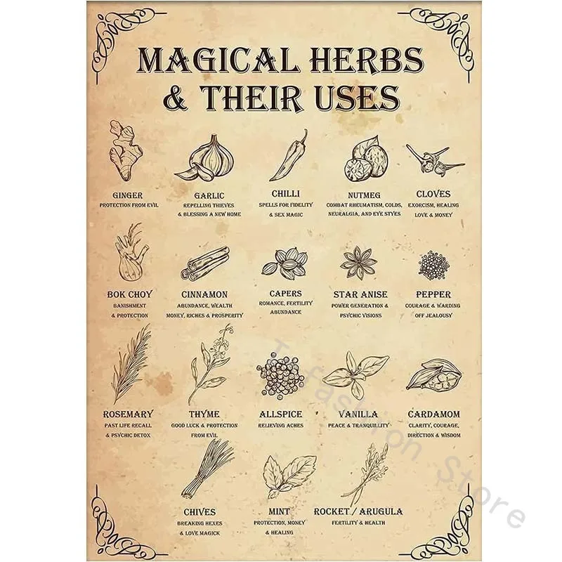 

Magical Herbs And Their Uses Witchy Poster Kitchen Witch Wall Art Vintage Kitchen Witchery Witches Magic Knowledge Poster Tin