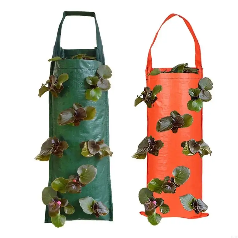Vertical Garden Plant Bags Hanging Grow Pouches Suitable For Strawberries Tomatoes Herbs Flowers Balcony Planting 2 Pack B03E