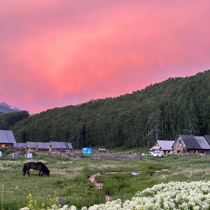 

KST DS725MG Стандартный цифровой сервопривод HV — металлический корпус, металлическая шестерня, для радиоуправляемых моделей 550