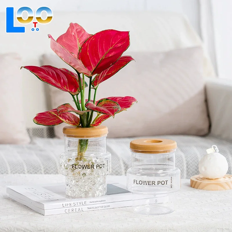 Прозрачный серый прозрачный цветочный горшок Офисный зеленый горшок для растений Домашний горшок