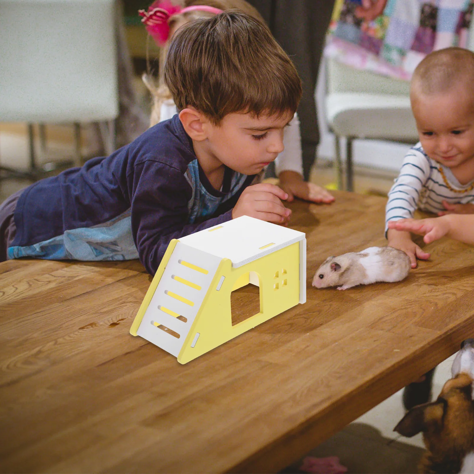 

1 Set Hamster Sleep Hut Small Cage House Cozy For Pets Decorative Resting Hideout Rat House Chinchilla Guinea Pig