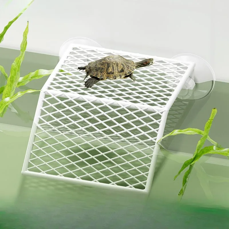 Plataforma de secado de tortugas, plataforma de escalada para tanques de tortugas, pendiente de escalada, ventosas, plataforma de secado solar de nivel