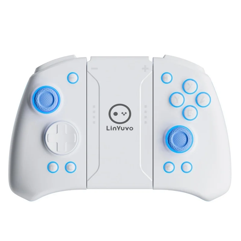 Switch Bluetooth Gamepad One Click Compassion Macro Back Button Rgb Light Adjustable Brightness Dual Vibration Motor 10 Buttons