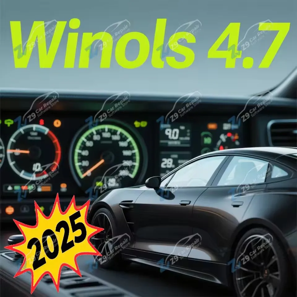 4 في 1 Winols 4.7 مفعل بالكامل + 108GB Damos Windows 7 10 11 بدون افتراضي متعدد اللغات + ECM TITANIUM 1.61 + أداة خدمة IMMO