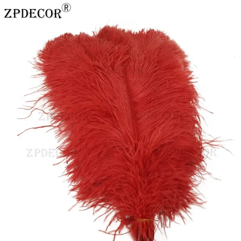 

ZPDECOR Big Pole Ostrich Feathers 20-22 Inch 50-55 Cm for DIY Crafts Home Decor Feathers
