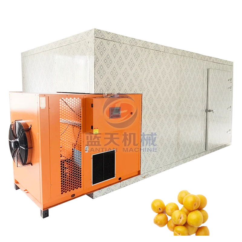 Agricultural Fruit Dryer Vegetable Fruits Drying Processing Machine Prunes Apricot Mango Drying Machine