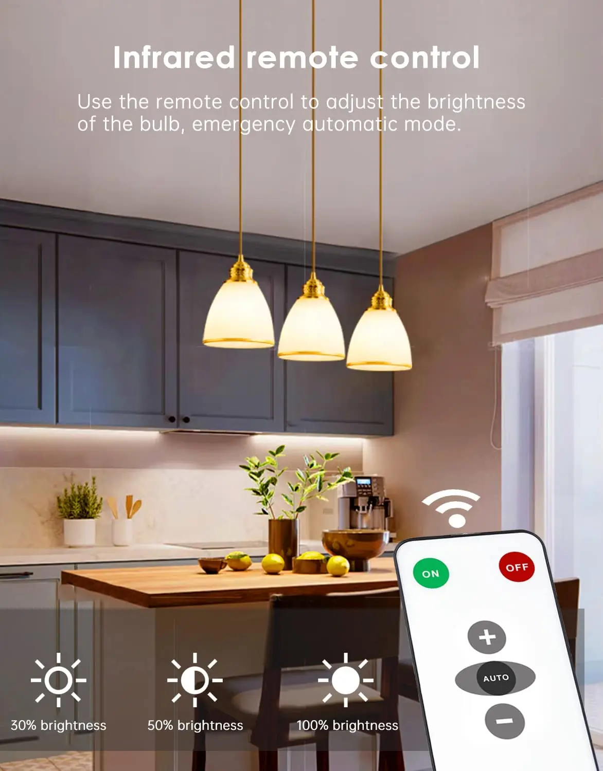Rechargeable Light Bulbs with Remote, Dimmable Battery Powered Light Bulbs, A19 Standard Size Emergency LED Light Bulbs, 2 Pac