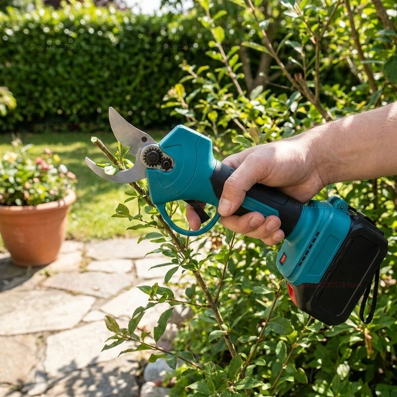 Bürstenlose Elektrische Astsch – Gardening Tools To Cut Branches Bewertung und Preis