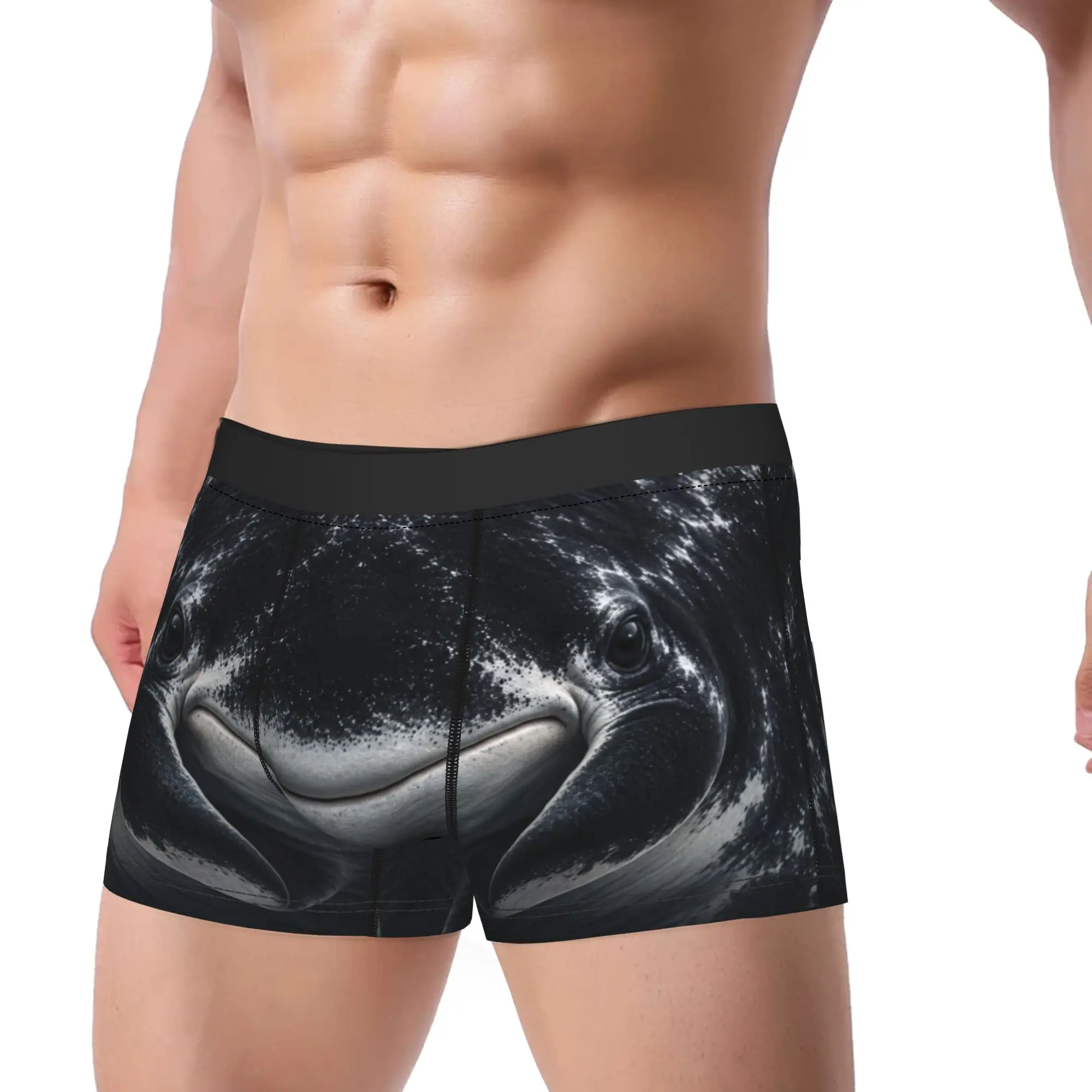 Midnight Manta Ray Face  Accessories Boxers Briefs Humor Underwear  Boxer Underpants Gag Gift For Men