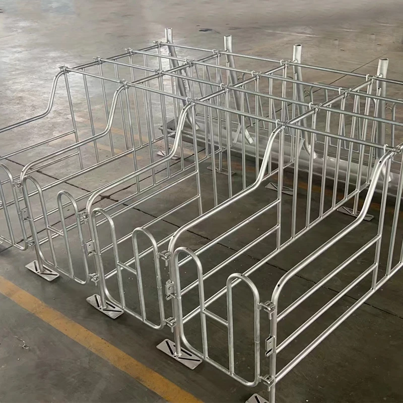 

Easy Installation Pig Cage Animal Cage Hot Dip Galvanized Pregnancy Crate