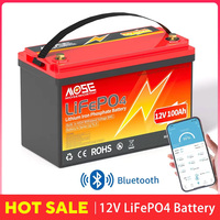 12V 100Ah LiFePO4 Battery With 100A Bluetooth BMS Lithium Battery Deep Cycle Iron Phosphate Rechargeable Batteries For RV Camper