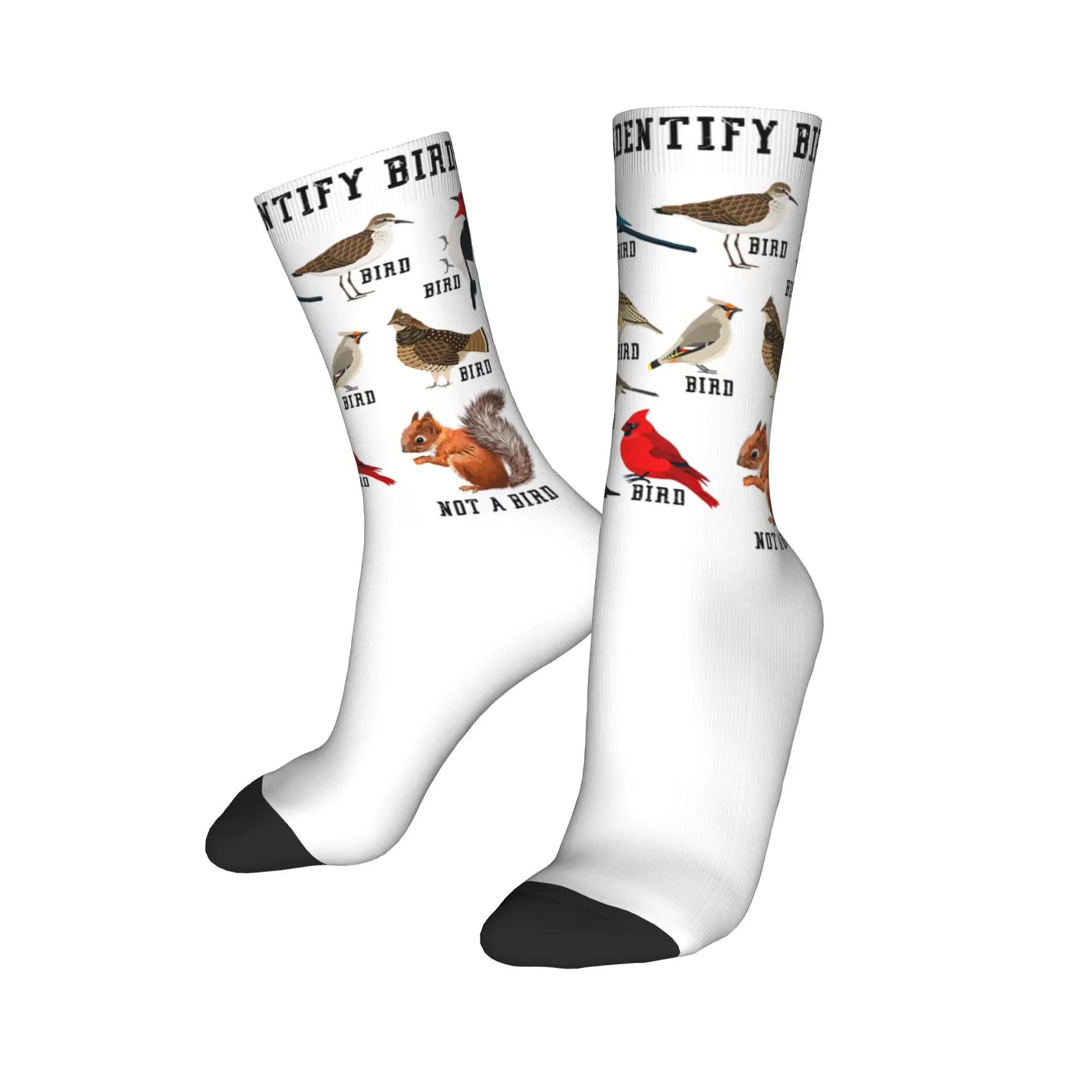 Autumn Winter Colorful Unisex Parrots Bird Guide Different Parrot Species of The World Pet Socks  Sweat Absorbing Socks
