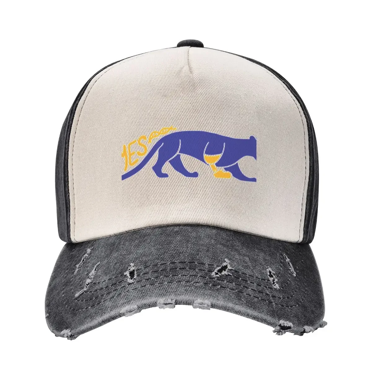 BMES Panther Baseball Cap Vintage funny hat foam party Hat Anime Hat Women's Golf Wear Men's