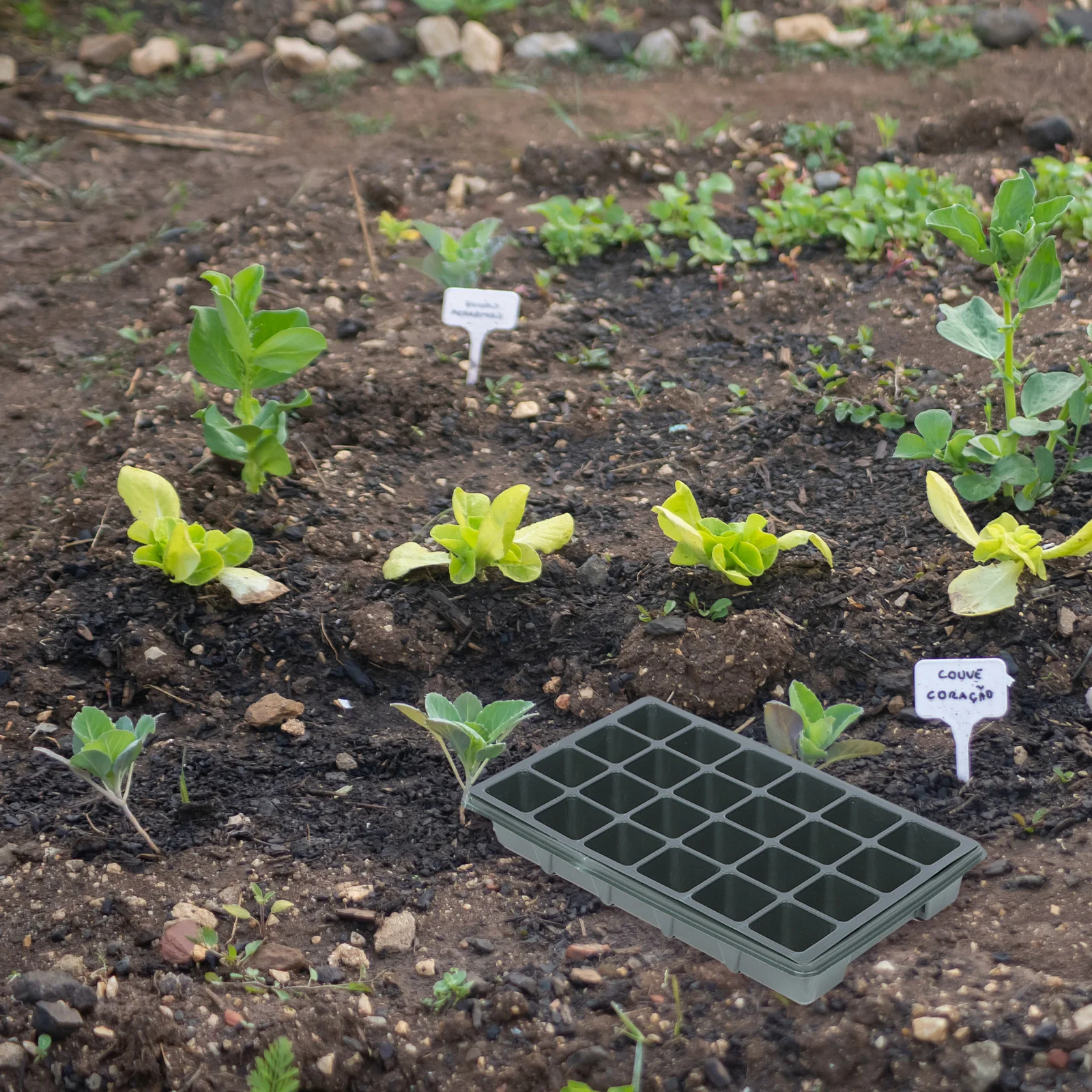 

2Pcs 24Hole Seedling Trays HighQuality Plastic Gardening Tray PlantGermination Boxes NurseryTray GreenhousePlanting Tray