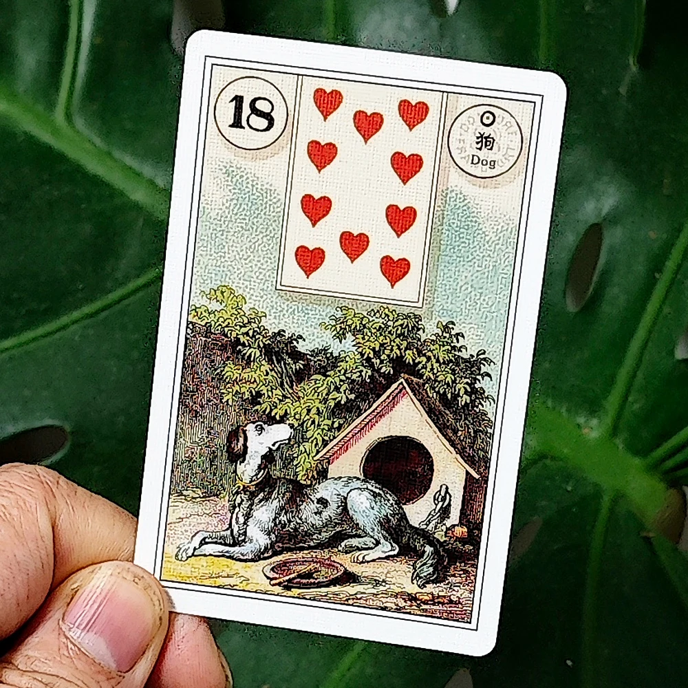 French Cartomancy Lenormand Deck 36 Pcs Lenormand Cards In Chinese and English Language Bilingual Edition Classic Deck 9*6cm - Image 3