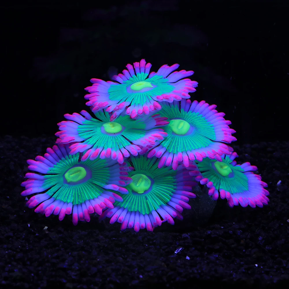 Silicone Simulated Sea Anemone Night Glow Effect Fish Tank Decoration Aquarium Underwater World Plant Decoration Accessories