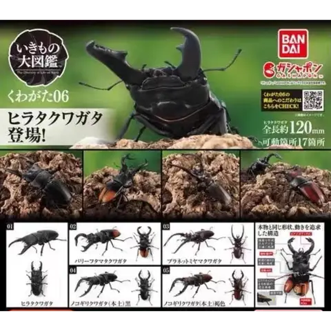 Bandai Original Gashapon Insect Figure Stag Beetle 06 Model , Red Stag Beetle Collectible Toy for Beetle Collection Enthusiast