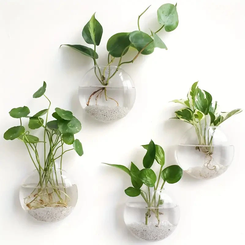 Wall Hanging Glass Plant Terrarium Container Propagation Station Wall-Mounted Flower Vases Air Plant Terrarium Home Office Decor