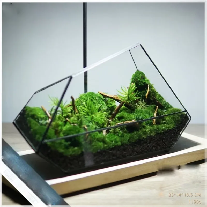 Landscape Planter Moss Rainforest Tank Geometric Glass Flower Vase Irregular Ecological Vase Succulent Water Plant Vase ZF992