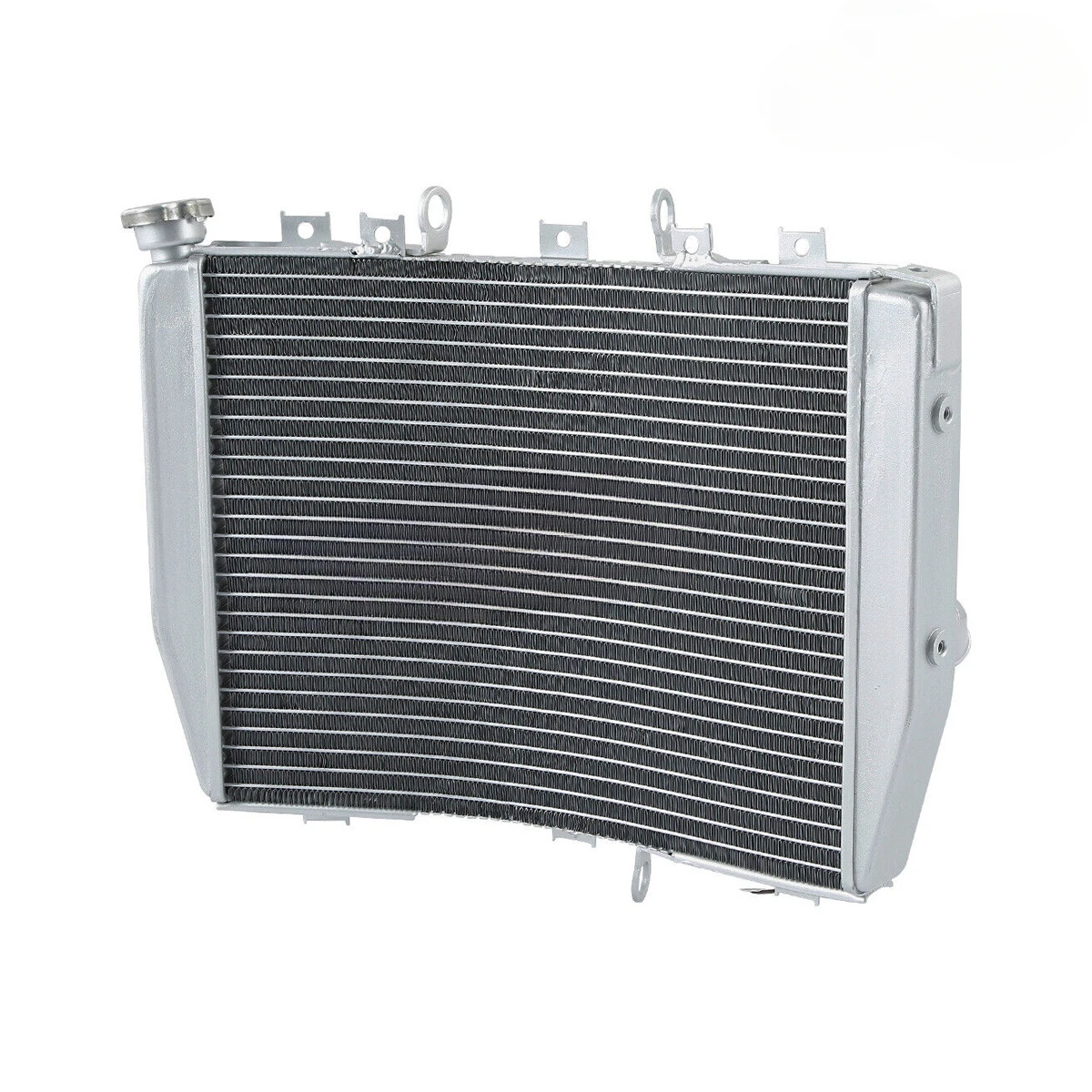 

Suitable for Motorcycle Engine Radiator Water Tank Assembly 2004-2005