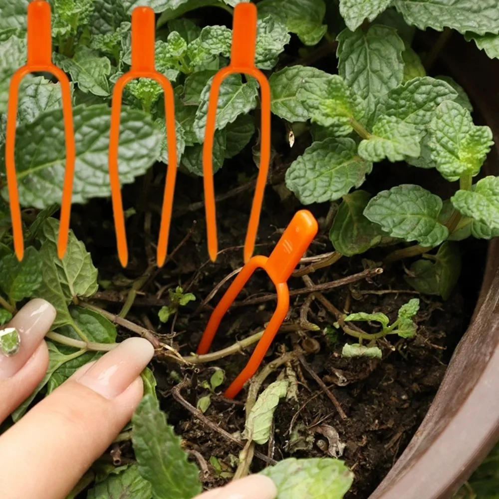 50pcs Plastic Plant Fastening Clips Strawberry Planting Fork Horticultural Supplies Fixed Plant Rooting & Seedling Raising Tools